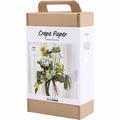 Maxi Kreativ Set Krepppapier, Blumenstrauß, Hellgrün, Dunkelgrün, Pastellgrün, Weiß Maxi Kreativ Set Krepppapier, Blumenstrauß, Hellgrün, Dunkelgrün, Pastellgrün, Weiß